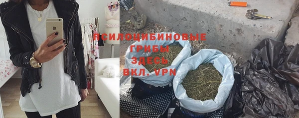 дживик Слюдянка